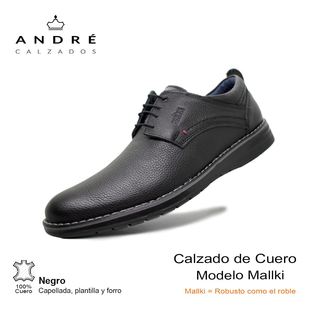 Zapatos para hombre online andrea 2019